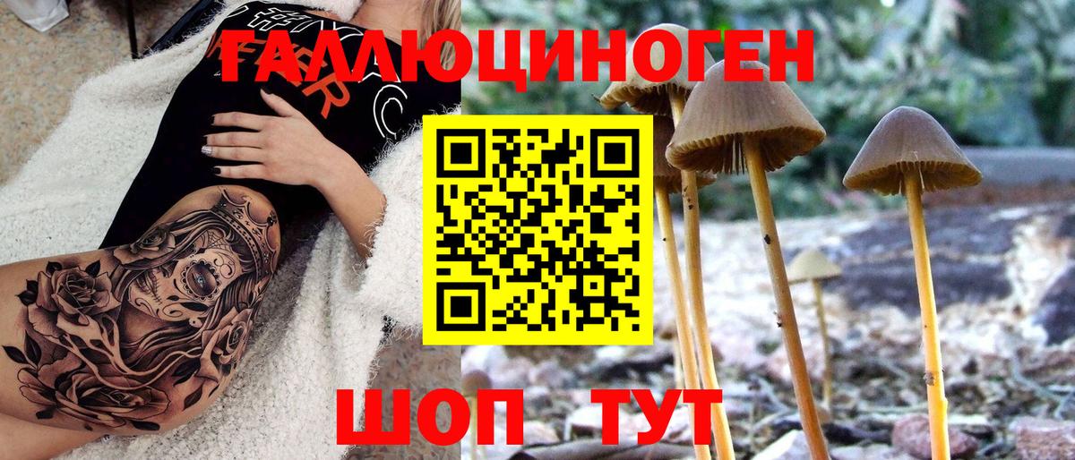 Псилоцибиновые грибы мицелий  Псилоцибиновые грибы мухоморы  Михайловск  Вход с VPN 